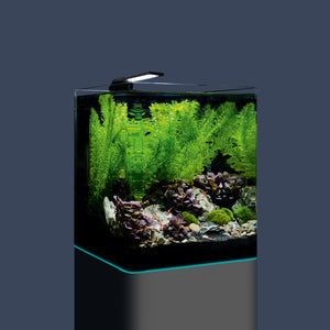 Komplettes Nano Cube Set mit Zubehör