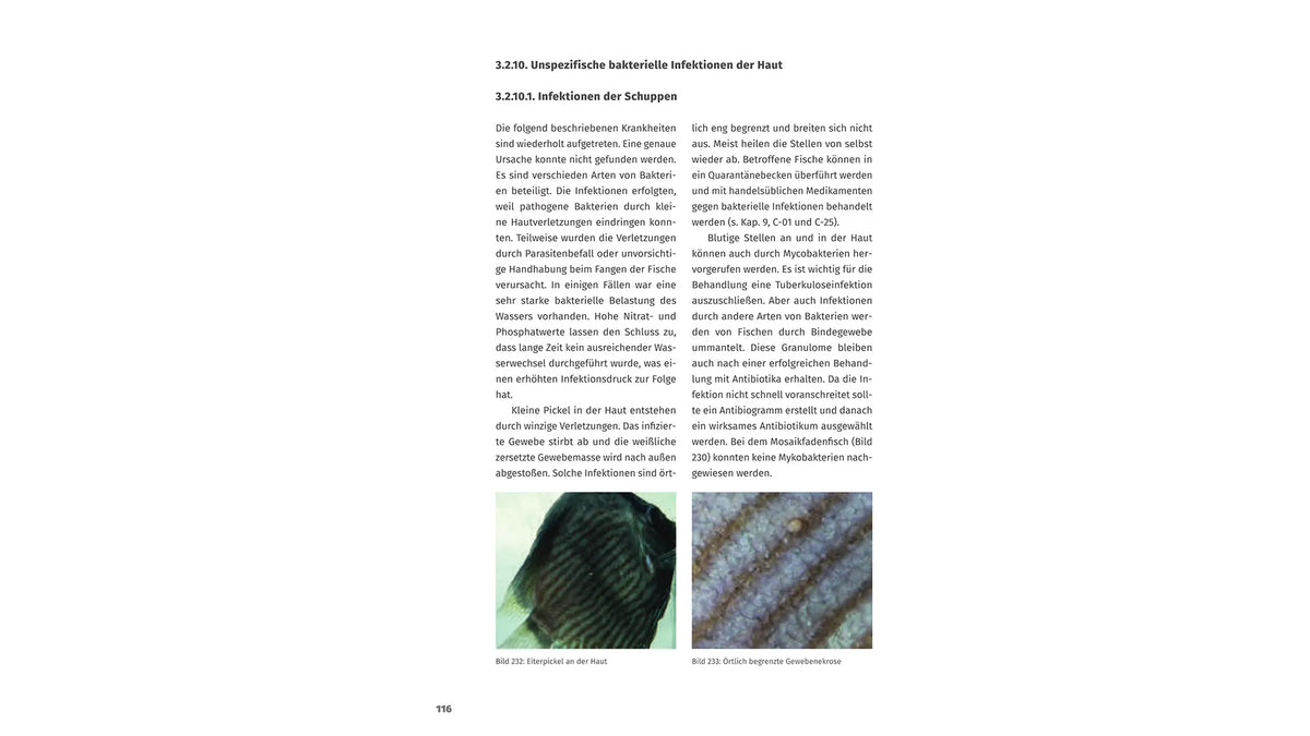 Krankheiten der Zierfische Buch Dieter Untergasser Diagnose Behandlung Dähne Verlag