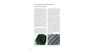 Krankheiten der Zierfische Buch Dieter Untergasser Diagnose Behandlung Dähne Verlag