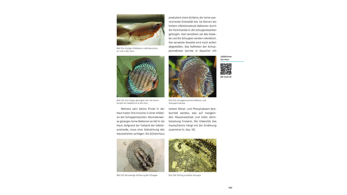 Krankheiten der Zierfische Buch Dieter Untergasser Diagnose Behandlung Dähne Verlag