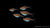 Kupfersalmler_Hasemania_nana_im_Aquarium