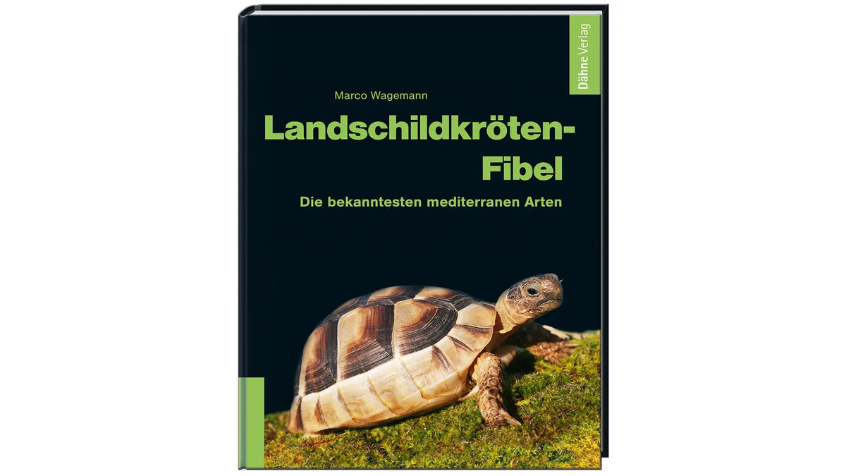 Landschildkröten-Fibel Buch Marco Wagemann mediterrane Schildkröten Dähne Verlag