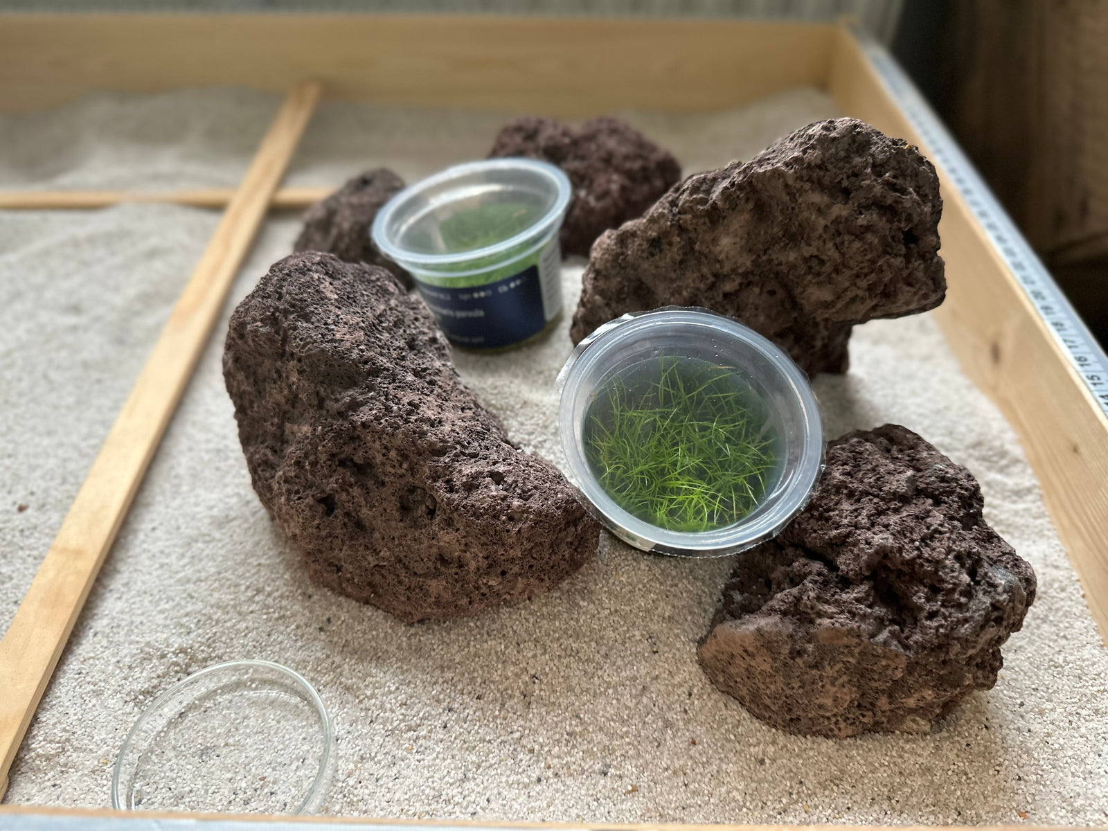 Lava Stein IWAGUMI Aquascape