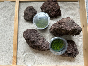 Lava Steine für Aquaristik
