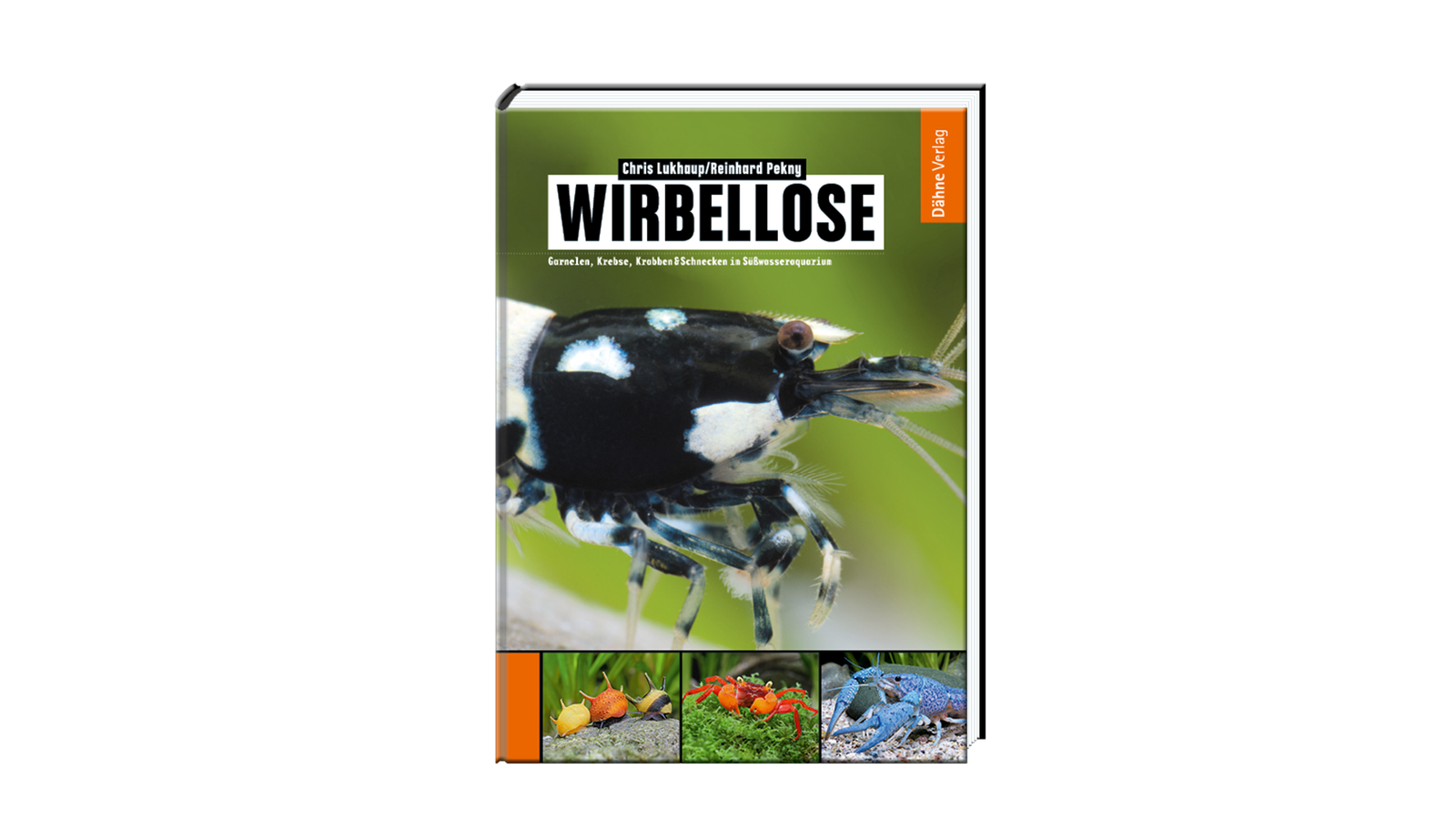 Garnelen und Krebse im Süßwasseraquarium