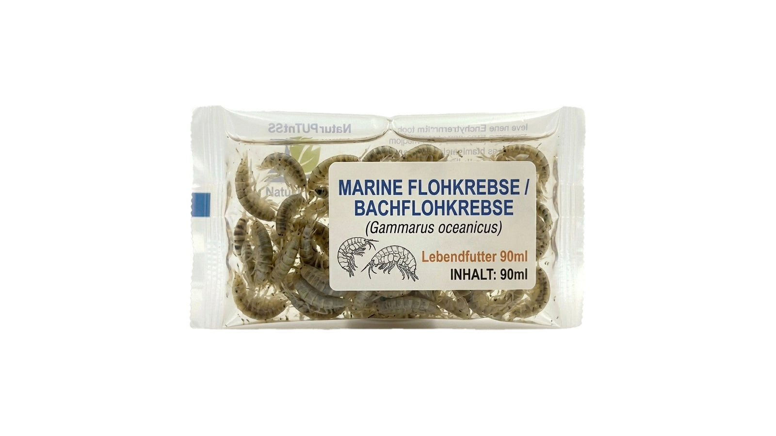 Marine Flohkrebse | Bachflohkrebse - Gammarus oceanicus - Lebendfutter