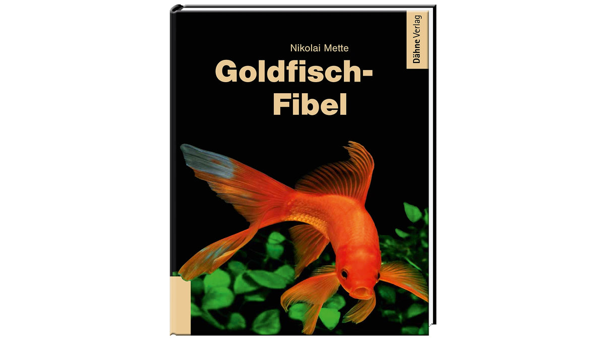 Goldfisch-Fibel vom Dähne Verlag. Geschrieben von Nikolai Mette