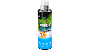 Schneller Einfahren von Aquarien mit Nite-Out II