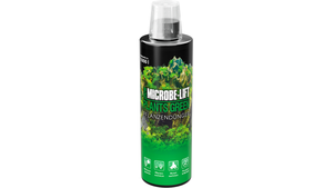 Microbe-Lift Green Dünger für algenfreie Aquarienpflanzen