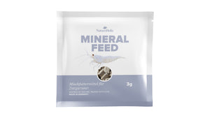 NatureHolic Mineralfeed Garnelenfutter Probepackung 3 g als mineralreiche Pads für Garnelen, Krebse, Krabben und Schnecken