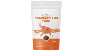 NatureHolic Cambarellusfeed Zwergkrebsfutter 30 g als wasserstabile Softsticks für CPO und weitere Zwergkrebse