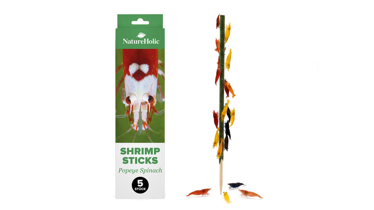 NatureHolic Garnelen Lollies Popeye Spinach. Neocaridina Arten am fressen von einem Garnelenlolli.
