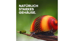 NatureHolic - Schneckenfeed Sticks - 30g - Snailfeed Sticks