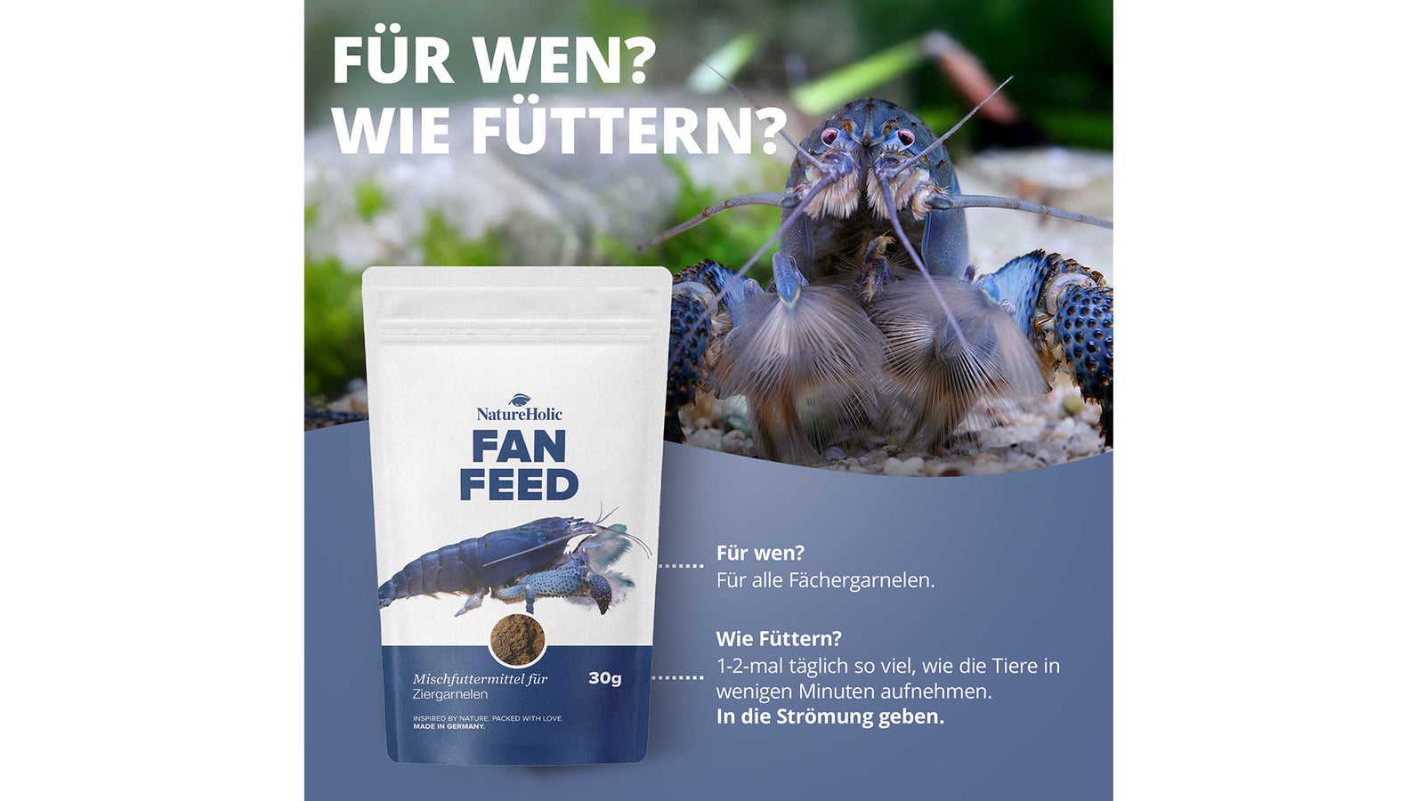 NatureHolic Fanfeed Fächergarnelenfutter 30 g als feines, energiereiches Staubfutter für Fächergarnelen