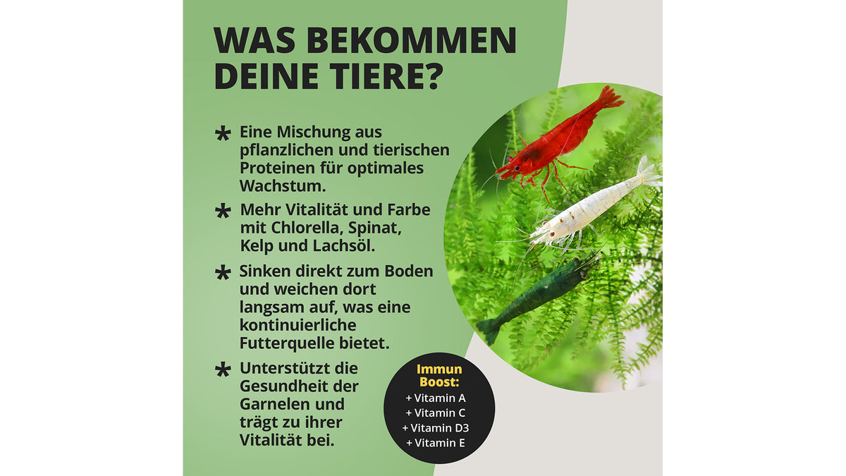 NatureHolic Nano Bites Garnelenfutter 25 g als langsam sinkende Mikrosticks für Garnelen in Nanoaquarien und größeren Aquarien