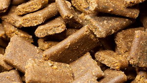 NatureHolic Proteinfeed Garnelenfutter Probepackung als proteinreiche Softpads für Garnelen