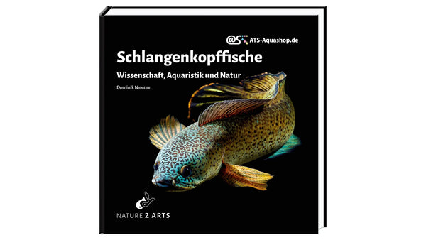 Schlangenkopffische