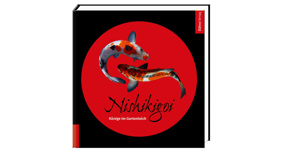 Nishikigoi Könige im Gartenteich Buch Bachmann Koi Haltung Dähne Verlag
