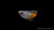 Orange Blauer Regenbogenfisch (Melanotaenia boesemani) im Aquarium