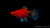 Platy Korall Rot Mond – Xiphophorus maculatus im Aquarium