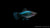 Platy Blau Spotted – Xiphophorus maculatus im Aquarium