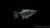 Platy Blau Spotted – Xiphophorus maculatus im Aquarium