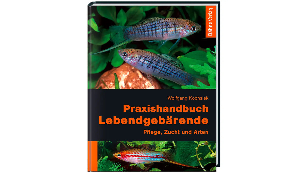 Praxishandbuch Lebendgebärende Buch Kochsiek Poeciliiden Dähne Verlag