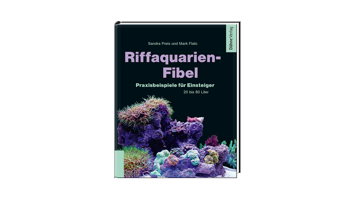 Riffaquarium Beispiel 20-80 Liter