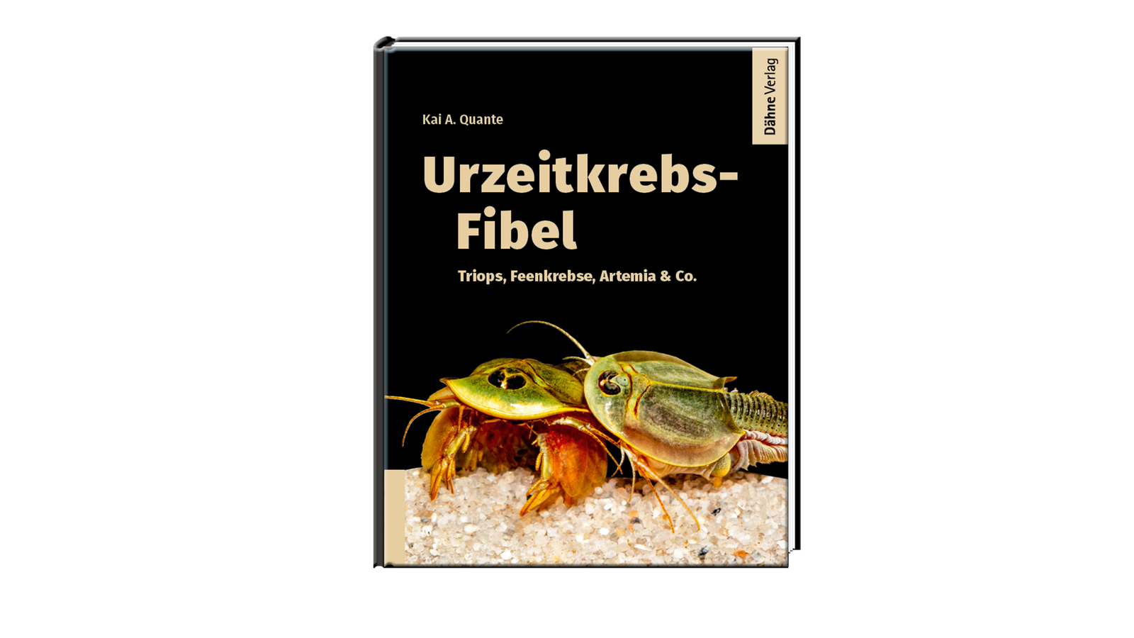 Urzeitkrebs Triops in einem Aquarium
