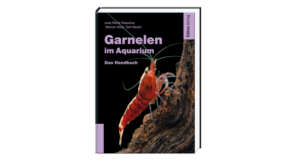 Garnelen im Aquarium - José Maria Requena, Werner Klotz, Martin Neli