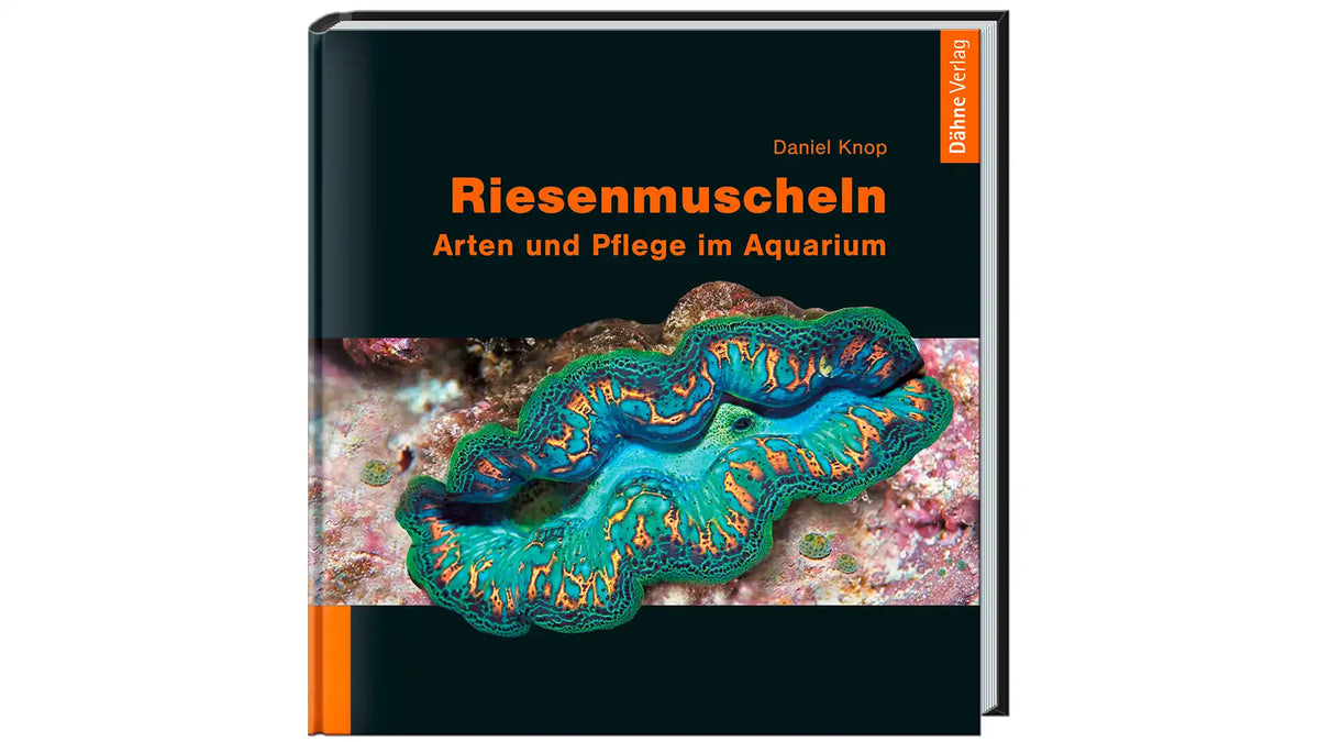 Riesenmuscheln