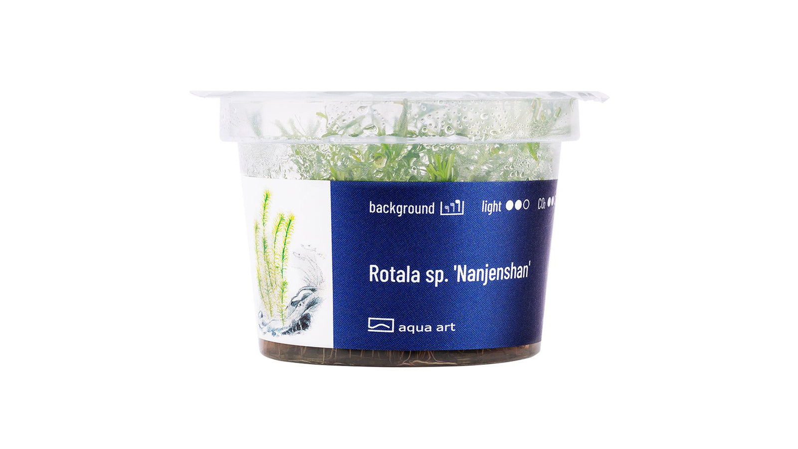 Rotala sp. 'Nanjenshan' - InVitro - GarnelenTv-Shop

Rotala sp. 'Nanjenshan' InVitro – Grüne Pflanze für Aquarien

