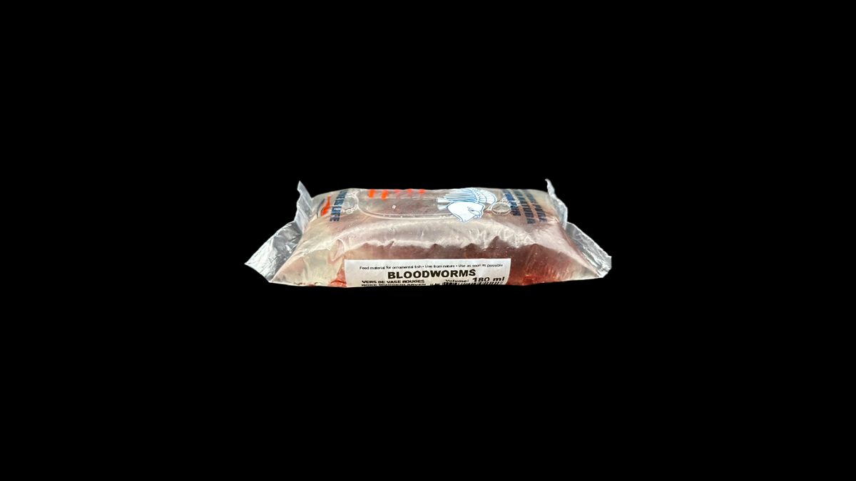 Proteinreiche Rote Mückenlarven für Wachstum und Vitalität