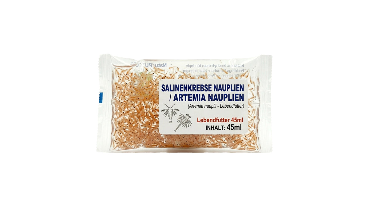 Salinenkrebse NAUPLIEN / Artemia NAUPLIEN  - Lebendfutter