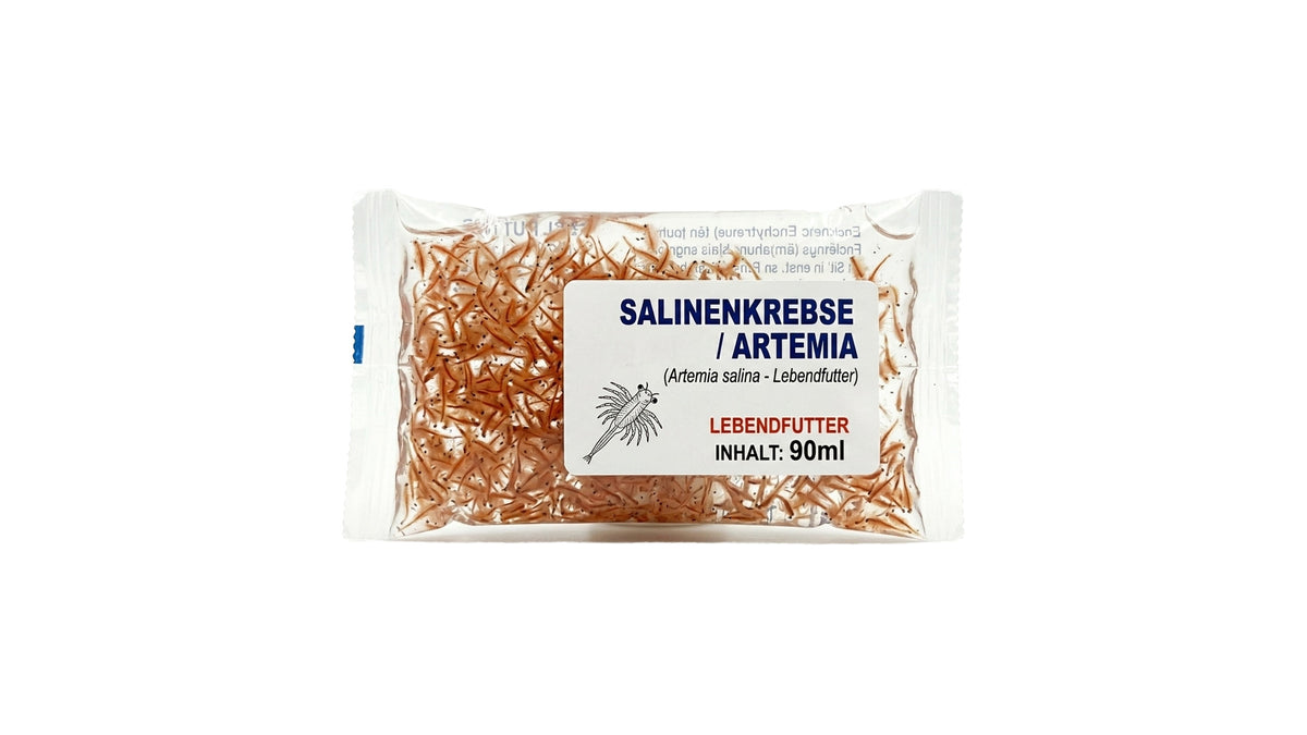 Salinenkrebse / Artemia - Lebendfutter 90ml