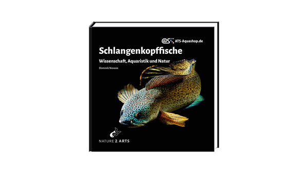 Schlangenkopffische