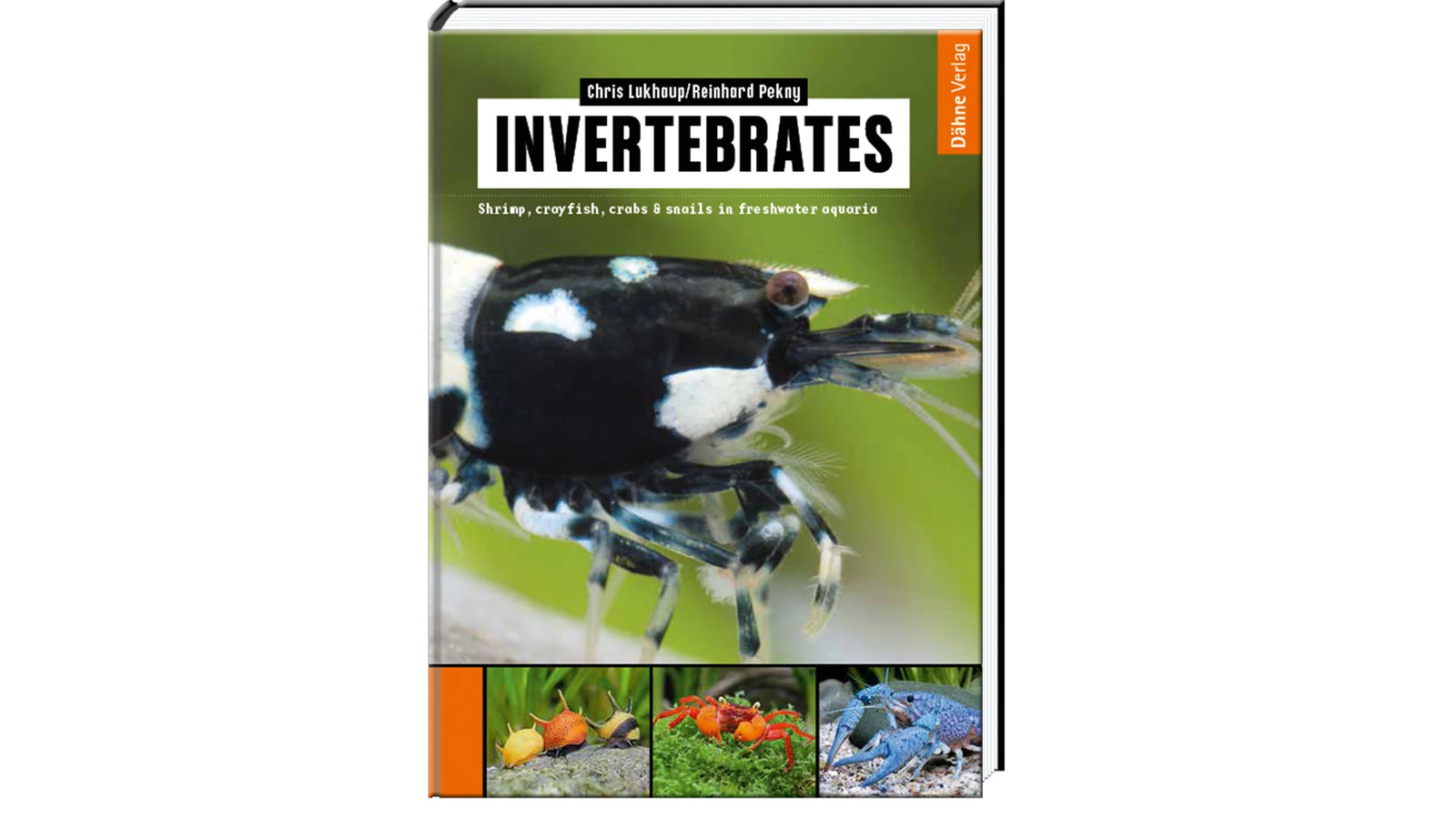 Buchcover Invertebrates Süßwassergarnelen Krebse Handbuch Dähne Verlag
