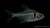 Schwarzer Phantomsalmler - Hyphessobrycon megalopterus