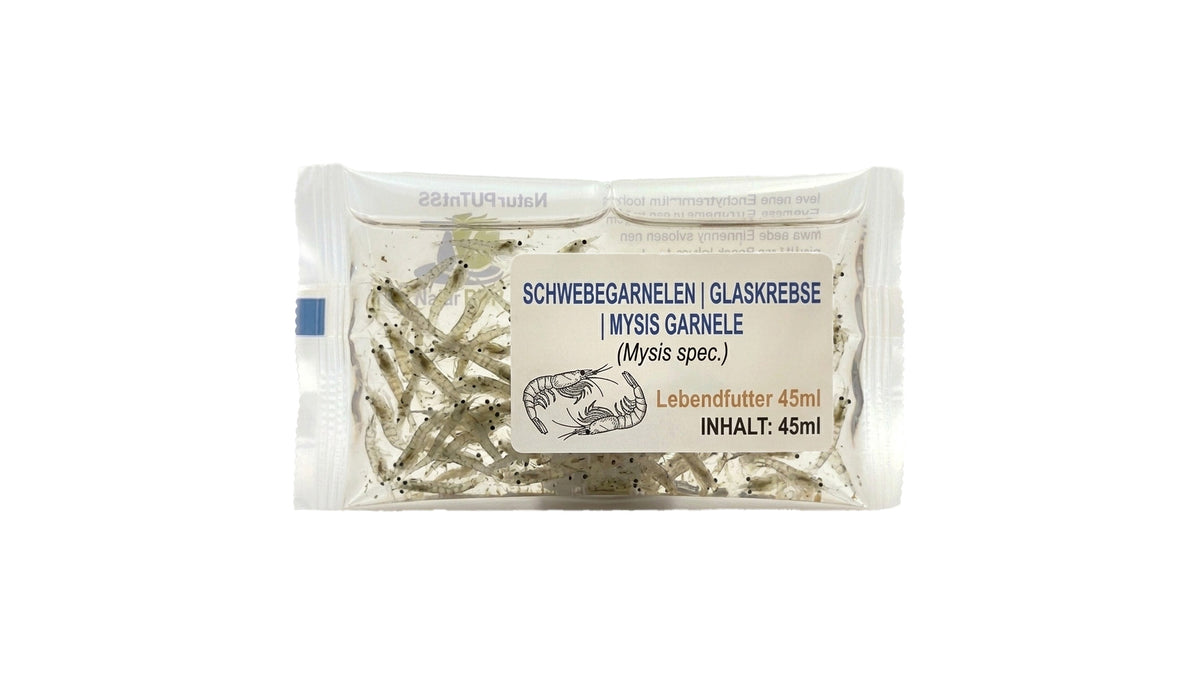 Schwebegarnelen | Glaskrebse |  Mysis Garnele (Mysis spec.) -  Lebendfutter