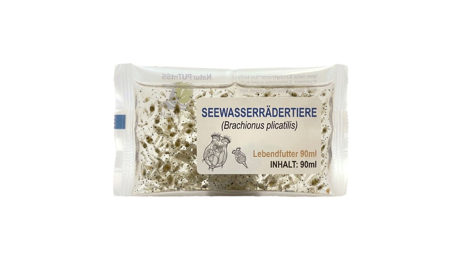 Seewasserrädertiere - Brachionus plicatilis - Lebendfutter