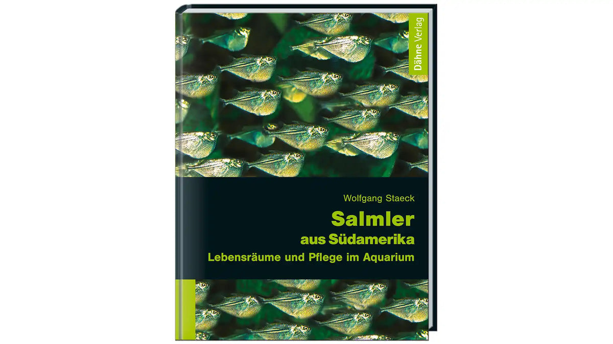 Salmler aus Südamerika Buch Wolfgang Staeck Schwarmfische Dähne Verlag