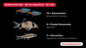 Südamerika-Set für 60 cm Aquarien (54 Liter) – 10 Neonsalmler, 6 Panda-Panzerwelse, 5 Otocinclus