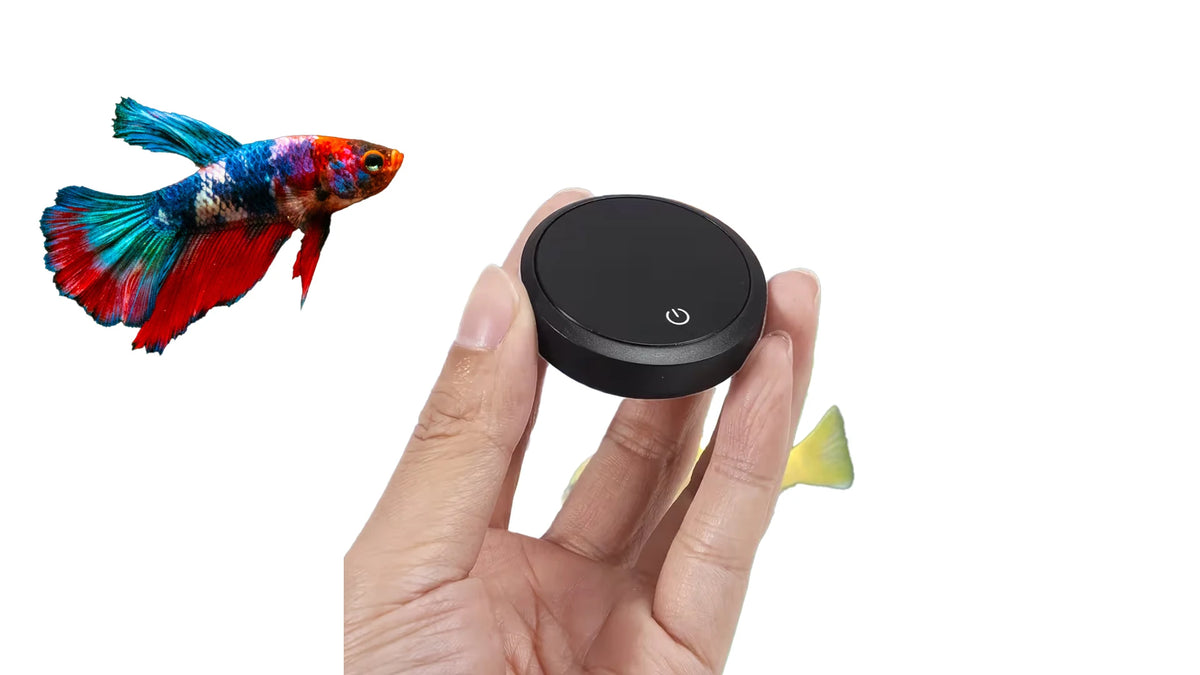 Elektronisches Wasserthermometer für Aquarien