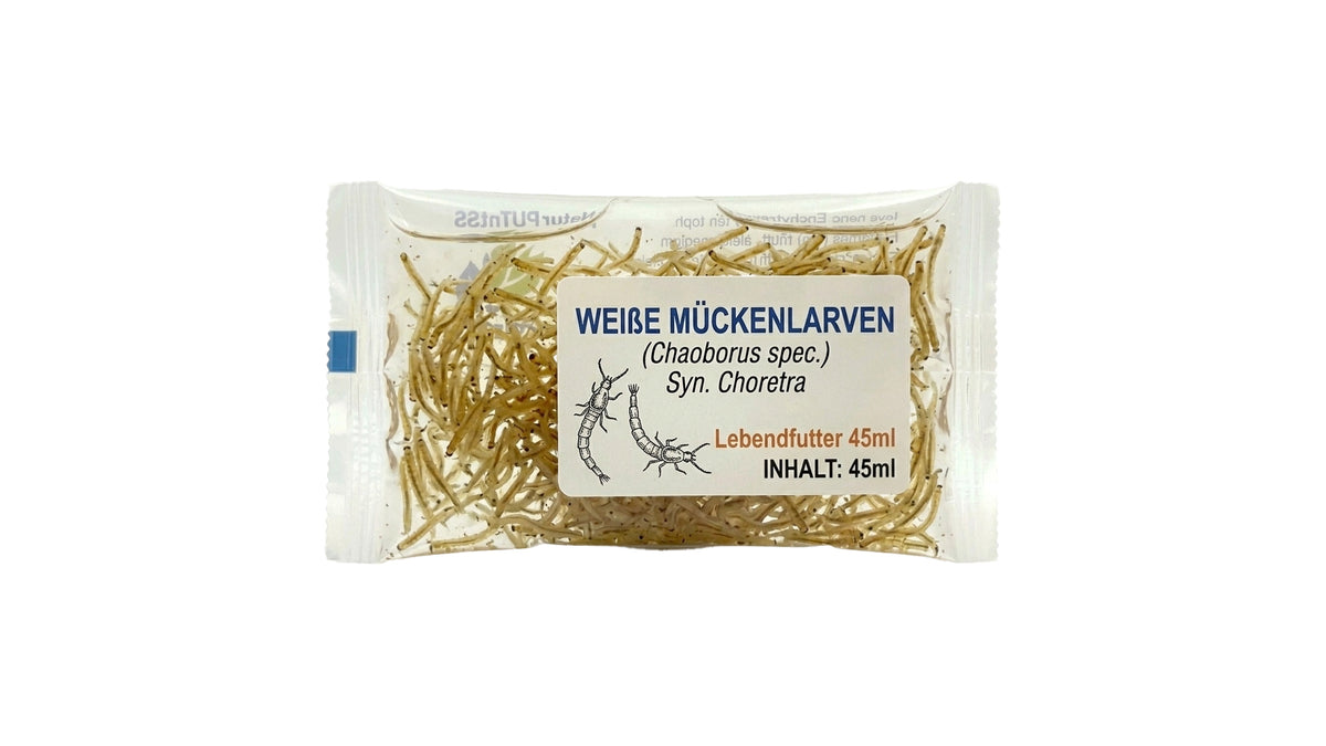 weiße mückenlarven aufbewahren (Chaoborus spec.) – Nahrhaftes Lebendfutter für Fische Gutscheinwert:25 € IKEA VESSLA Aufbewahrungskiste mit haushalt