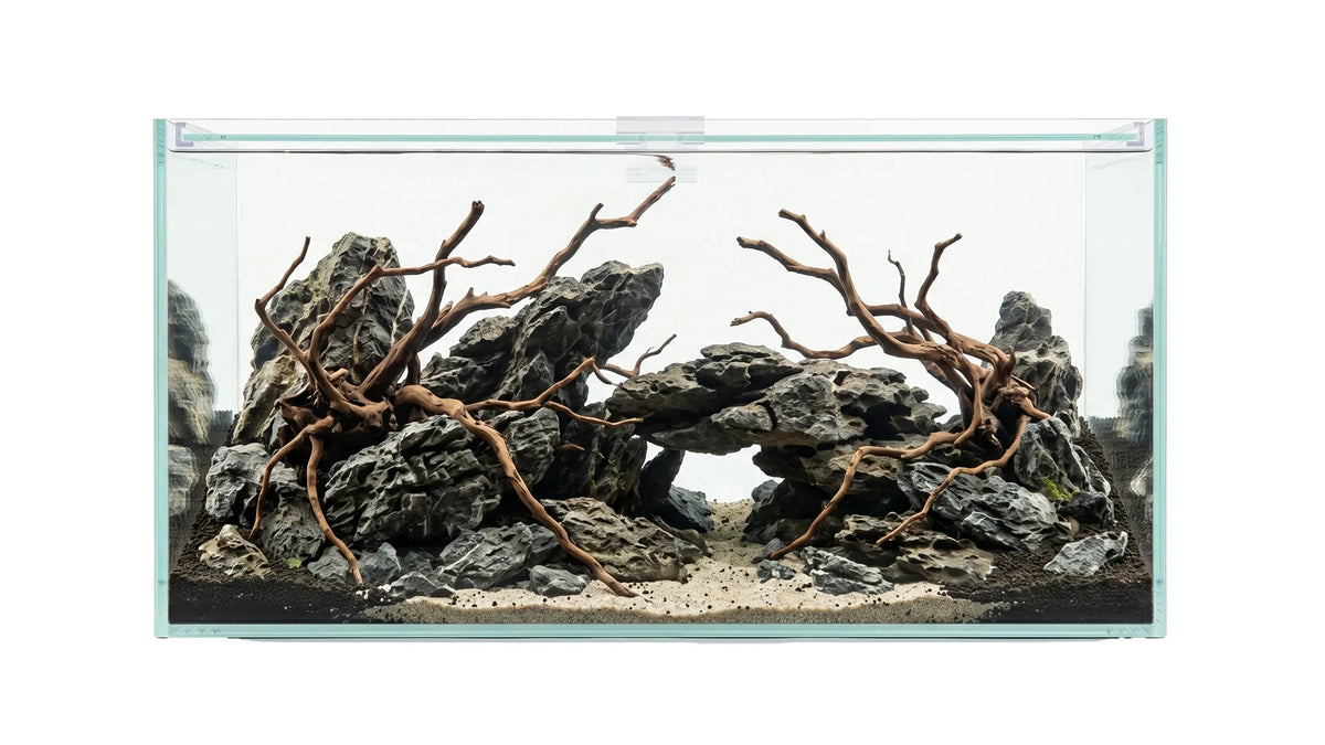Eingerichtetes Aquascape Aquarium in einem 120x40x60cm Aquarium