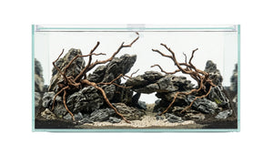 Eingerichtetes Aquascape Aquarium in einem 120x40x60cm Aquarium