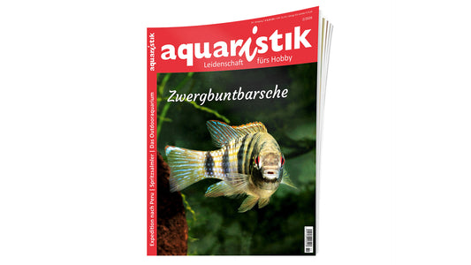 aquaristik 2026/2  | Zeitschrift