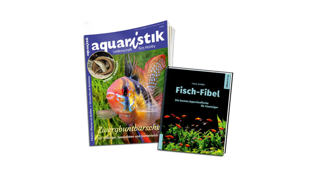 aquaristik Abo