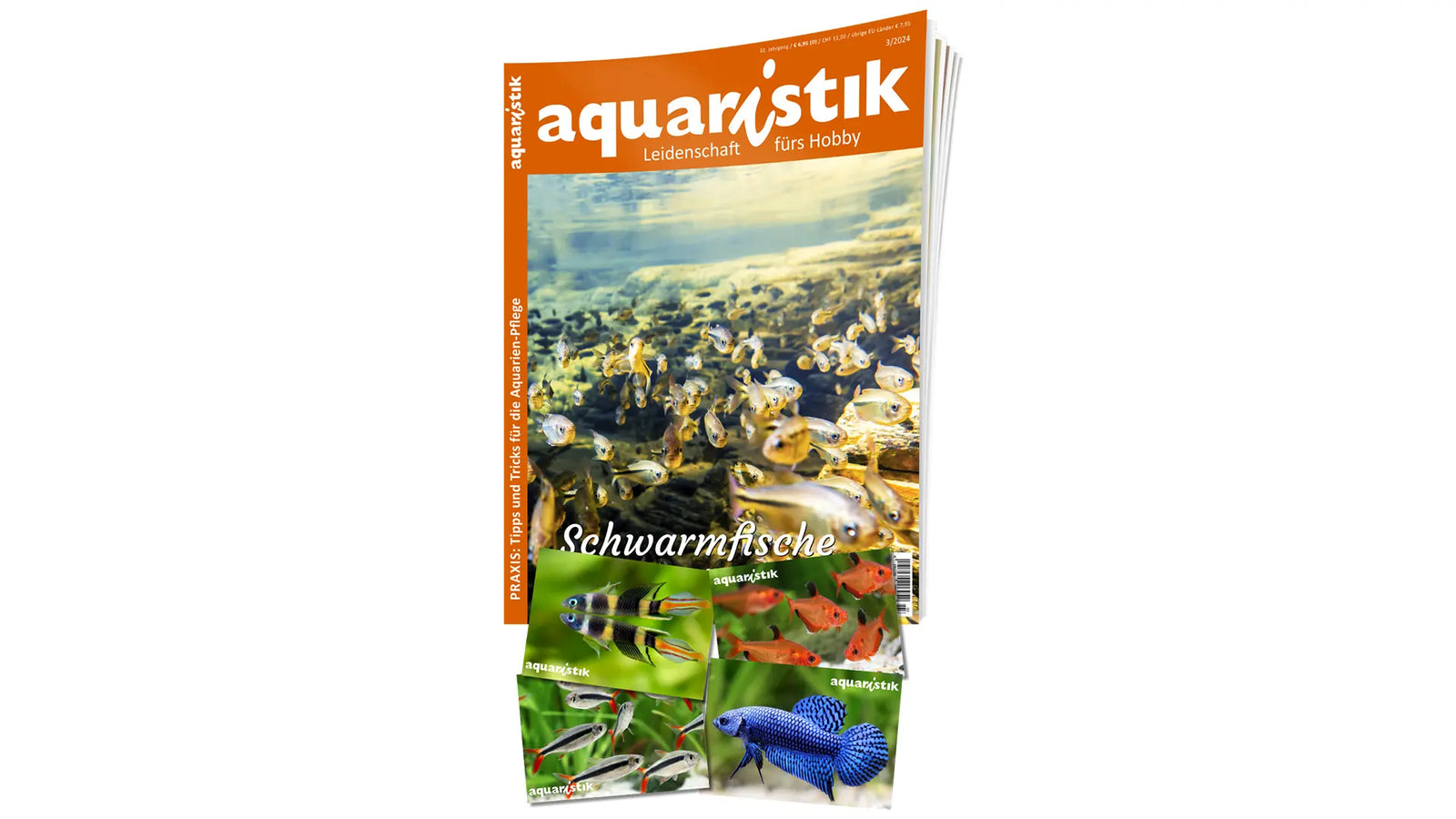 aquaristik Abo