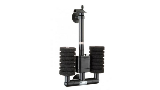 BOB - Doppel-Bio Schwammfilter - GarnelenTv-Shop

BOB Doppel-Bio Schwammfilter für Aquarien bis 120L
